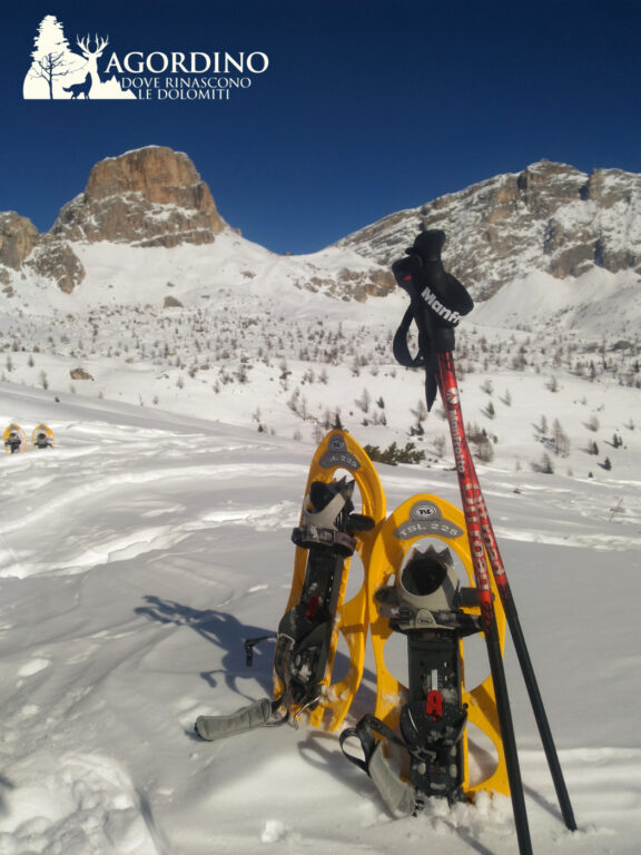 Ciaspolate in Agordino - dove rinascono le Dolomiti