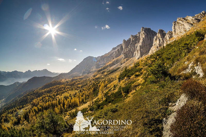 autunno Sentiero miniussi agner agordino Agordino Dove Rinascono Le Dolomiti