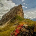 Le rosse foglie del corbezzolo alpino verso il passo di Col Becher di Cristina Fiocco